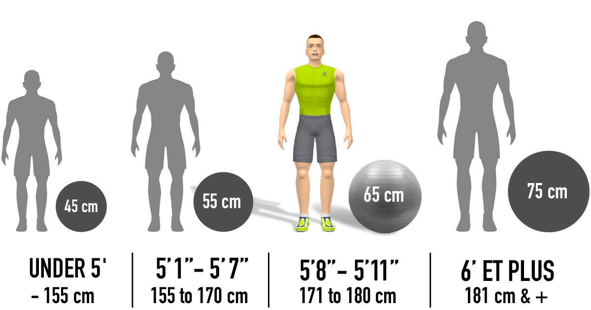 Exercise discount ball measurements