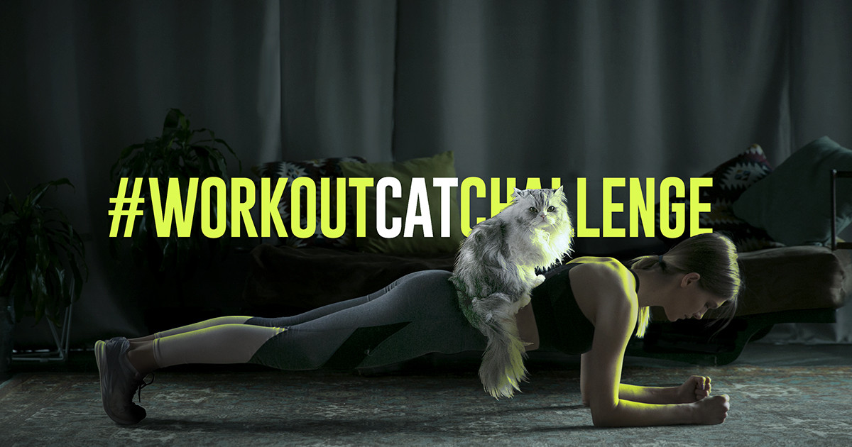 Exercise with your cat - not as crazy as it sounds.